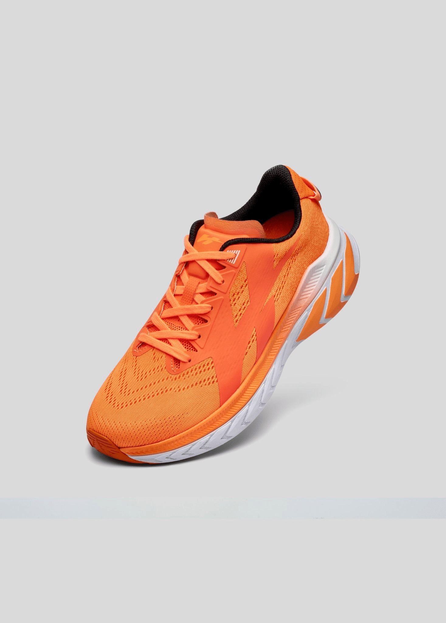 552794378 818777690596526 612434026294877474 n